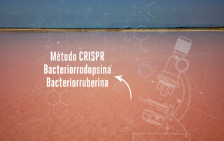 foto post blog ciencia en Bras del Port bacteriorruberina