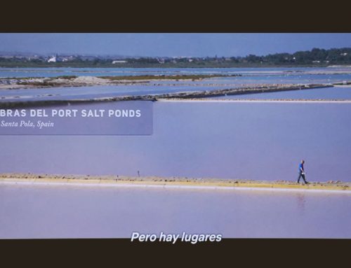 Bras del Port salt marshes as background for Netflix’s doc ‘Human Nature’